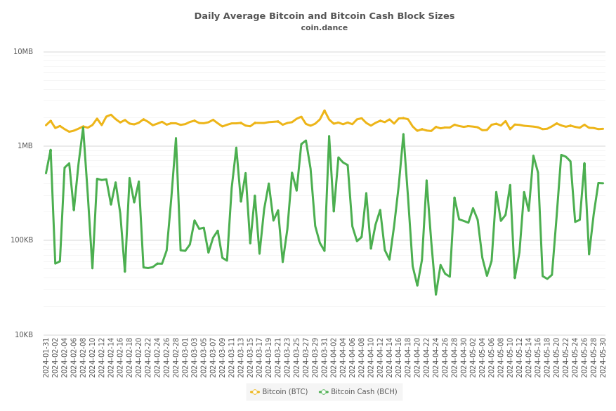 Bitcoin and Bitcoin Cash Block Sizes