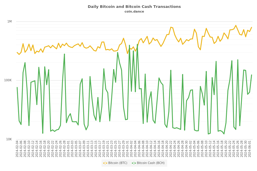 Bitcoin and Bitcoin Cash Transactions