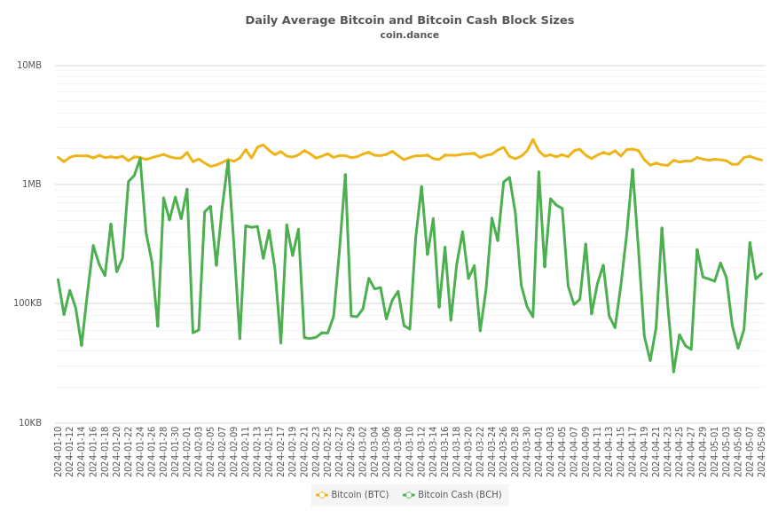 Bitcoin and Bitcoin Cash Block Sizes