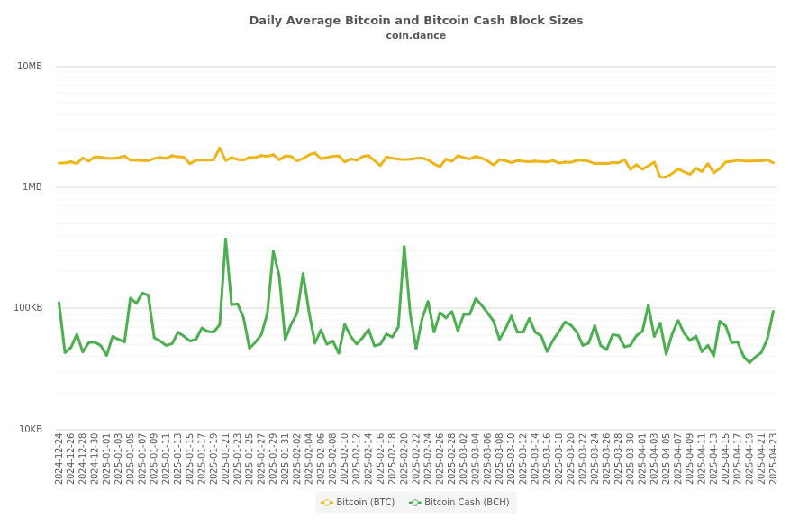 Bitcoin cash network hashrate